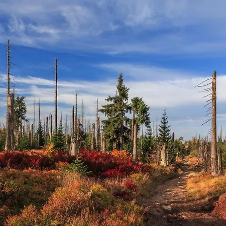 Salzsaumer Neuschönau