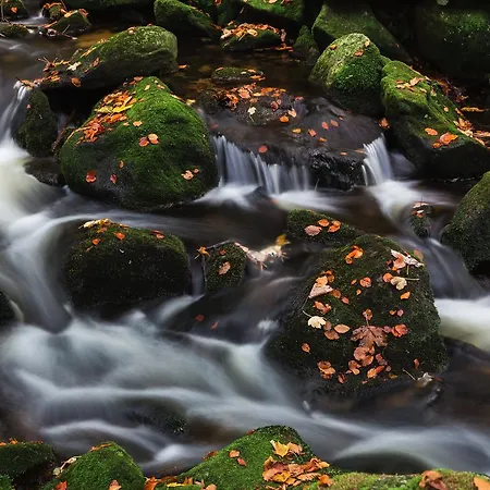 Salzsaumer Bed & Breakfast