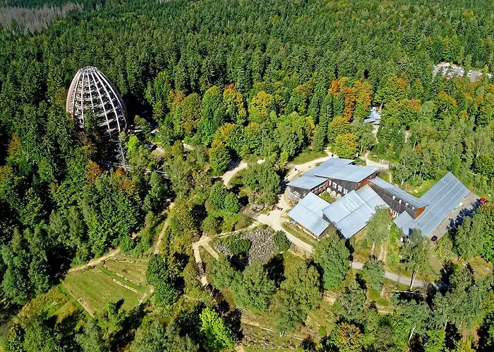 Salzsaeumer (adults Only) 3*